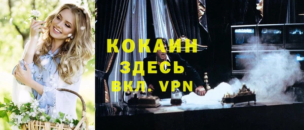 индика Балахна