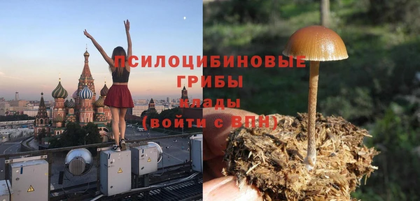 индика Балахна