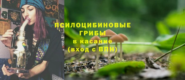 индика Балахна